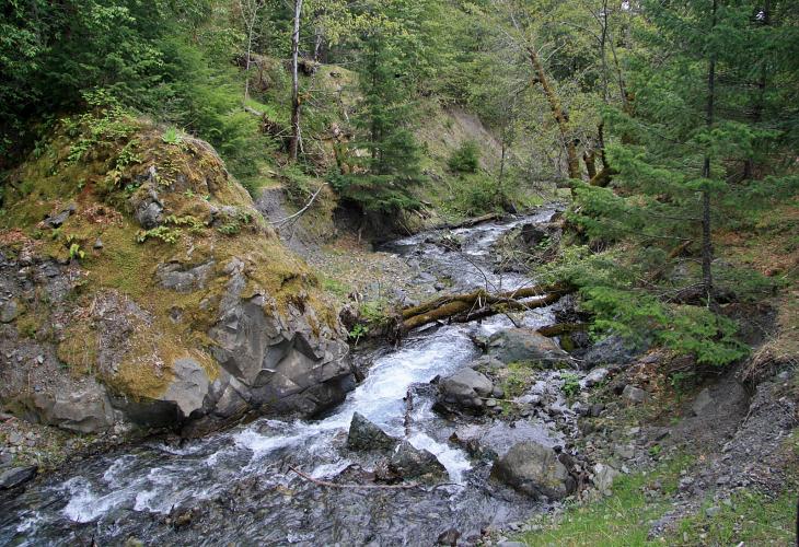 A small creek near the lake / Ein kleiner Bach in der Nähe des Sees