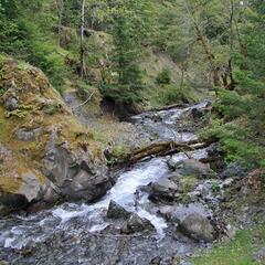 A small creek near the lake / Ein kleiner Bach in der Nähe des Sees