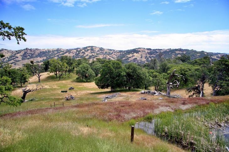 Nature in the hills near San Jose / Natur in den Bergen bei San Jose