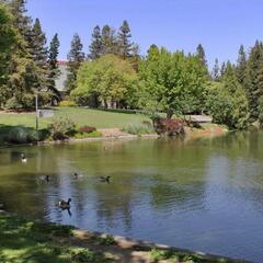 Arboretum, UC Davis