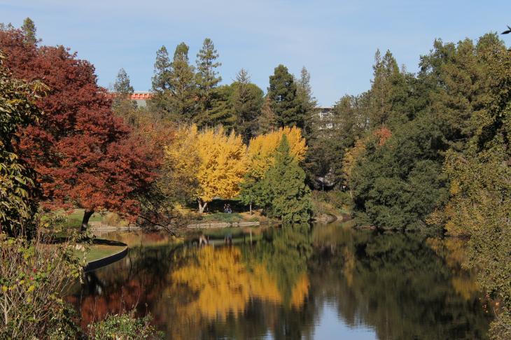 Lake Spafford, Arboretum