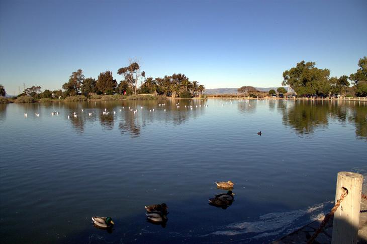 Palo Alto Baylands Park