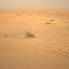 Endless desert