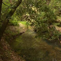Opal Creek