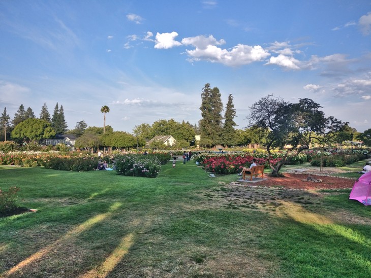Municipal Rose Garden, San Jose