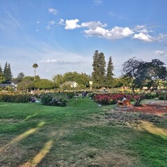 Municipal Rose Garden, San Jose
