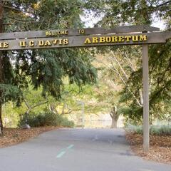 Das Eingangsschild vom Arboretum (Foto von Kelvin Kay/CC-licensed)