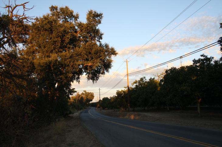Putah Creek Road