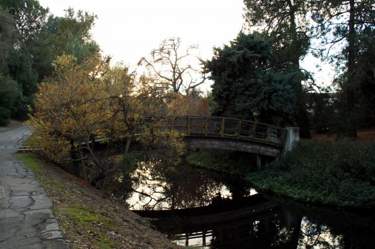 A bridge in the Arboretum