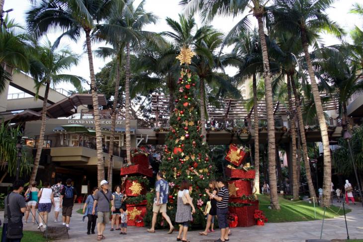 Christmas Tree in Waikiki